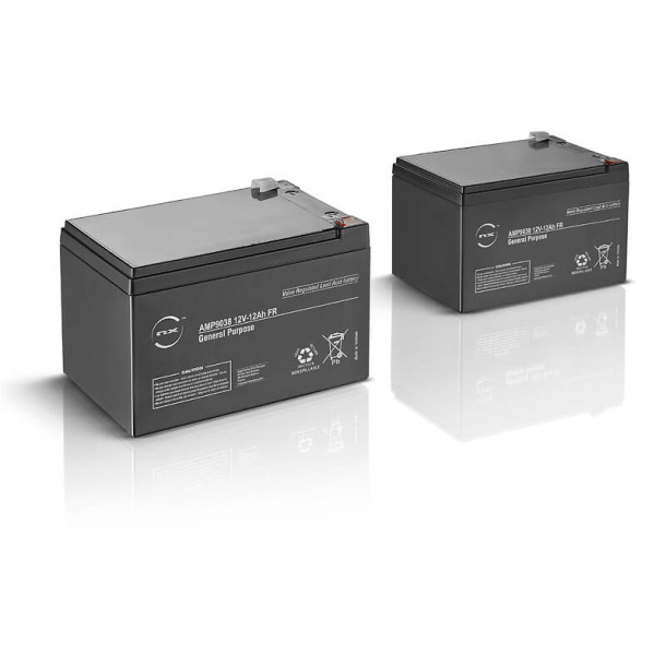 Batteries Somfy pour kit Solarset