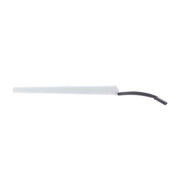 Batterie nue Somfy 12V