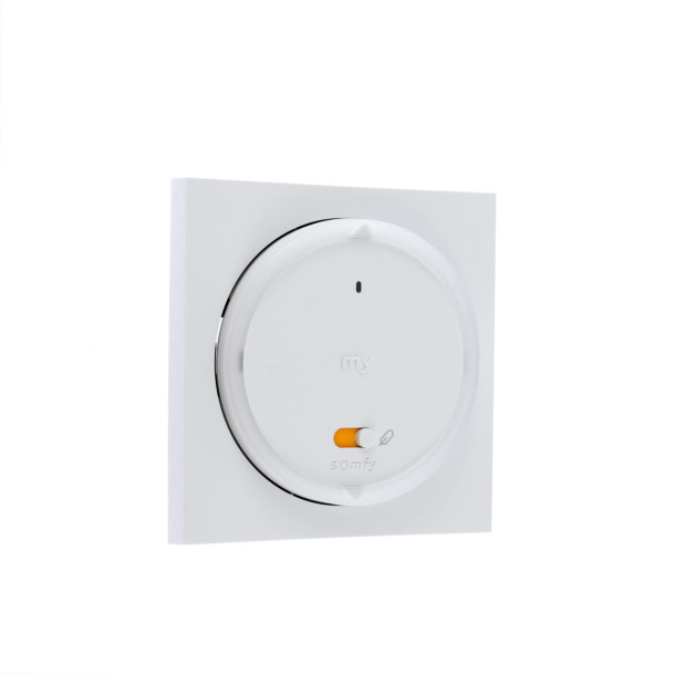 Commande Somfy AMY 1 RS100 IO cadre