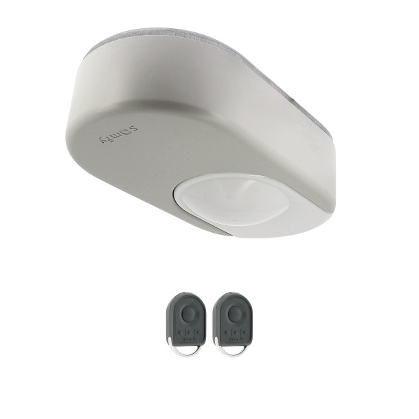 Pack moteur SOMFY Dexxo Smart 800 IO