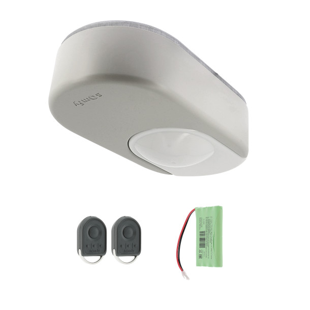 Kit de motorisation Somfy DEXXO SMART 800 IO - Pack Batterie