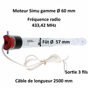 Moteur Simu T6 Hz.02 100/12