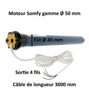 Moteur Somfy ILMO 50 WT 10/17