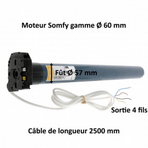 Moteur Somfy RDO 60 CSI 55/17