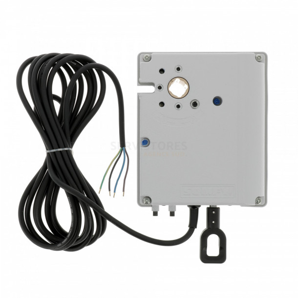 Moteur Somfy PHOENIX WT