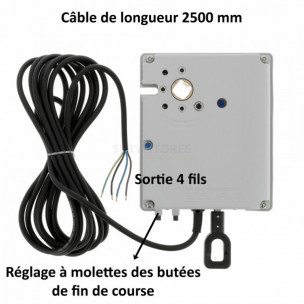 Moteur Somfy PHOENIX WT