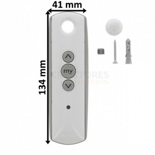 Télécommande TELIS 1 RTS Pure Somfy