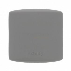 Récepteur Accès compatible IO Somfy