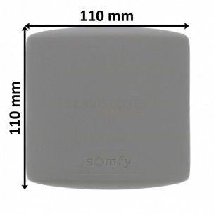 Récepteur Accès compatible IO Somfy