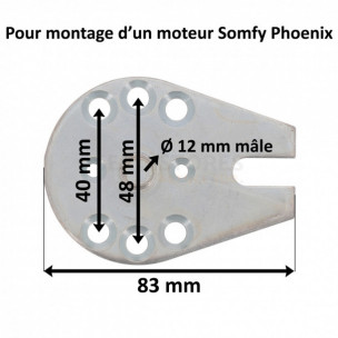 Support moteur Somfy Phoenix