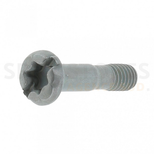 Vis Torx