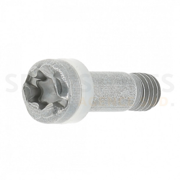 Vis Torx