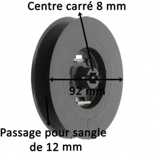 Poulie à sangle Zurfluh-Feller
