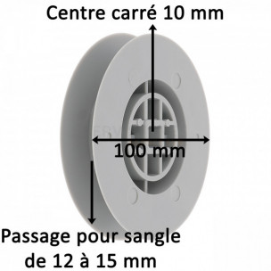 Poulie à sangle Zurfluh-Feller diamètre 100 mm sortie 10 mm