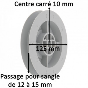 Poulie à sangle Zurfluh-Feller