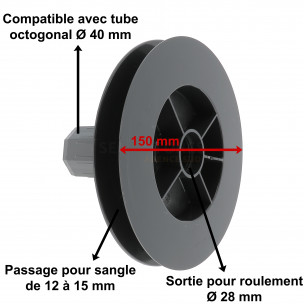 Poulie à sangle Selve