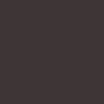 Marron (RAL 8019)