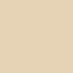 Ivoire (RAL 1015)