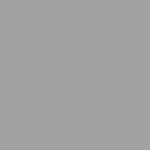 03 - Gris alu