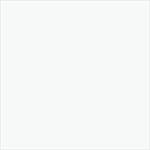 Blanc 101 (RAL 9010)