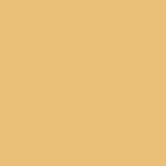 8156 Orange clair mat