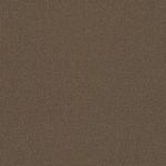8776 Cacao