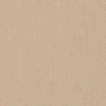 8902 Beige