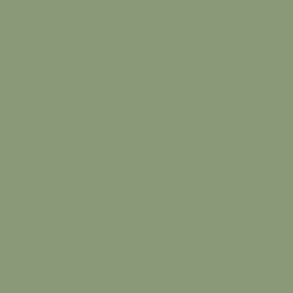 Vert Celadon RAL 6021